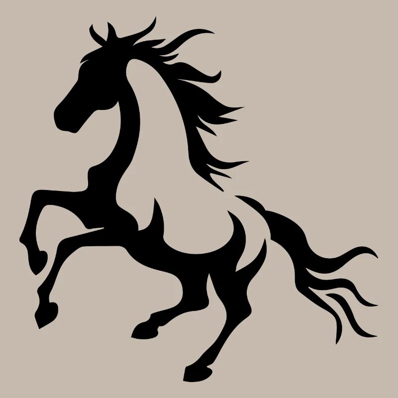 Cheval Équitation Équitation