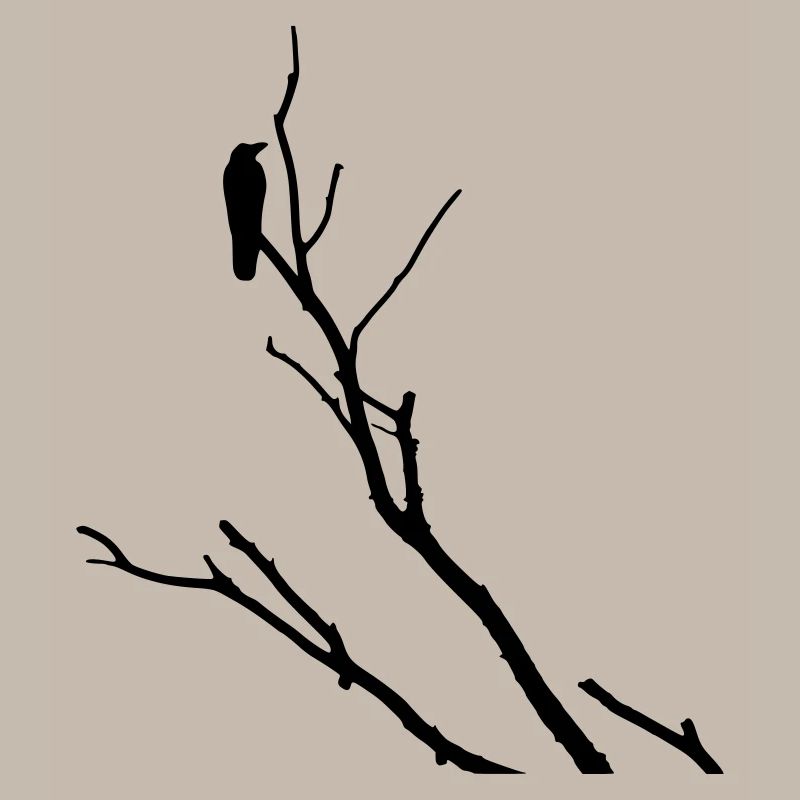 Raven sur la branche