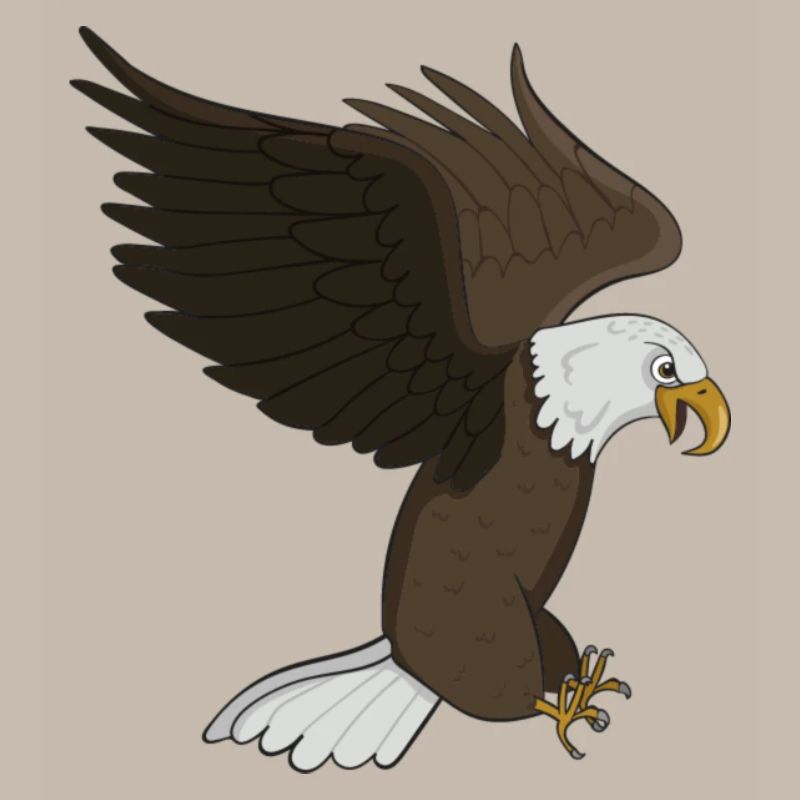 bald eagle