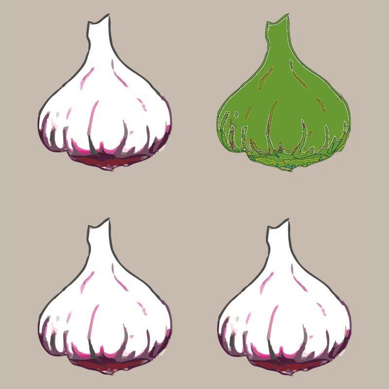 knoblauch 4er