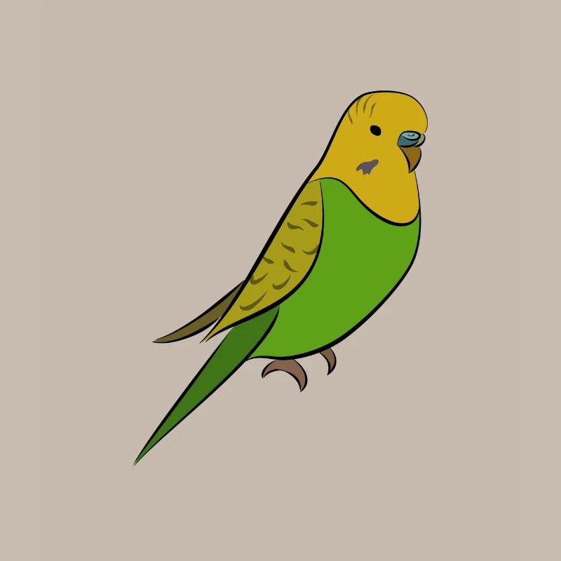 Perruche - perruche jaune vert