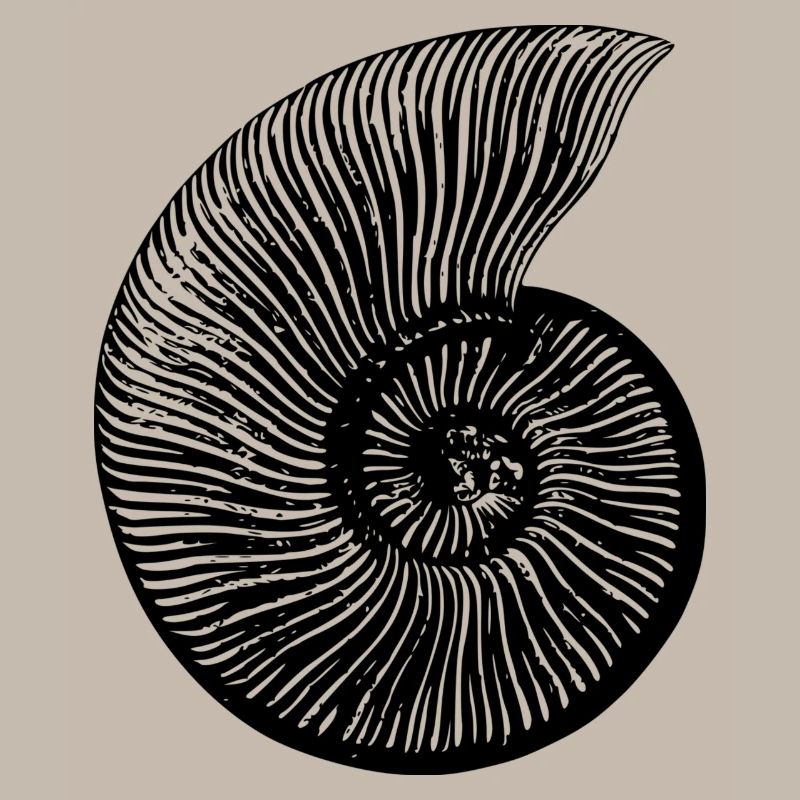 fossile