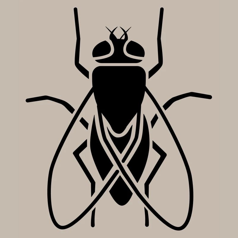 Insect - fly