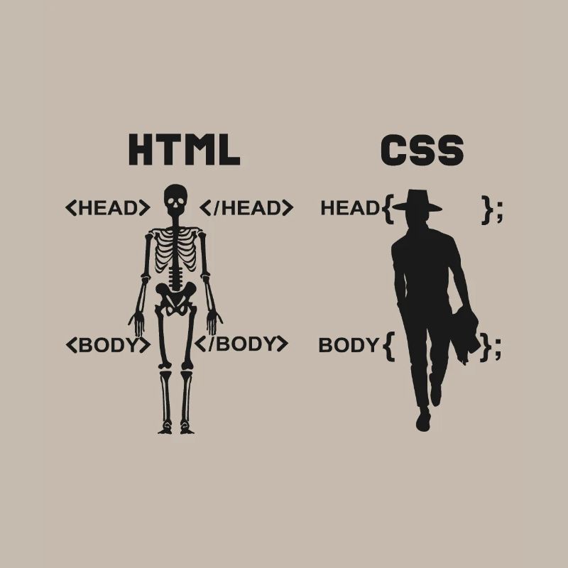 HTML vs CSS Programmiersprache