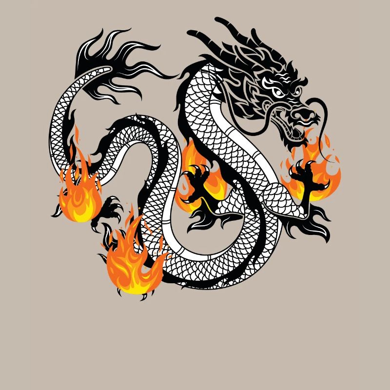Dragon Dragons Conception dragon