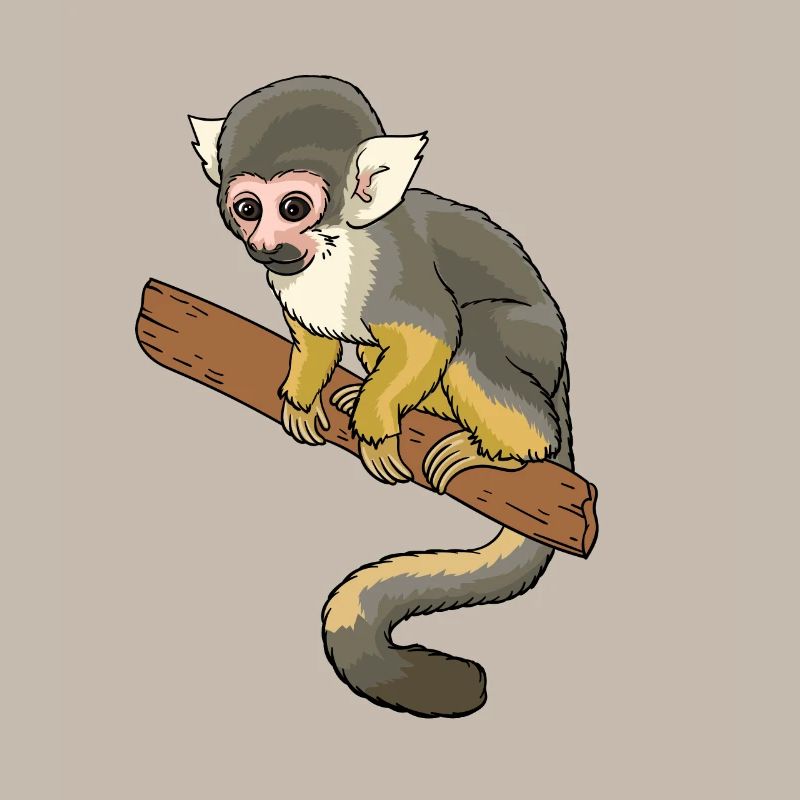 Squirrel monkey squirrel monkey primate