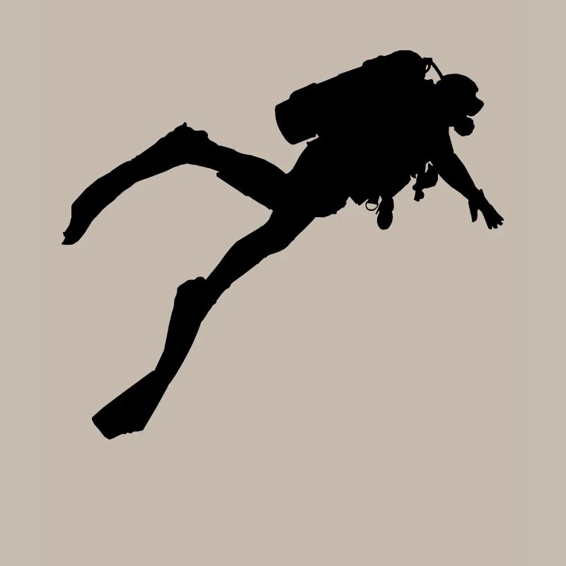 Plongée Plongée Dive Apnée