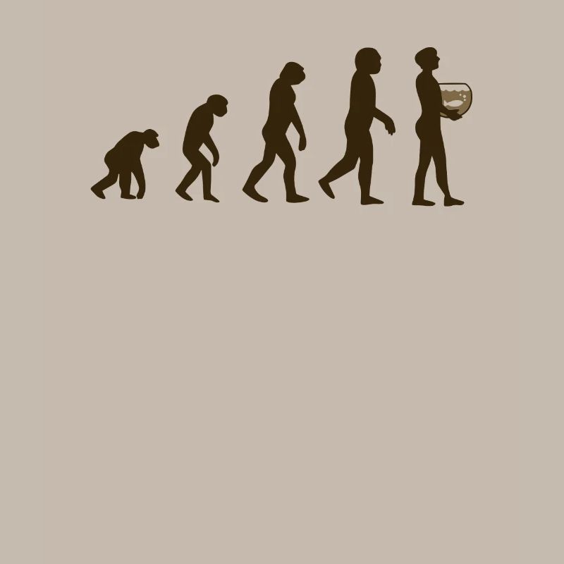 Évolution de l’aquarium