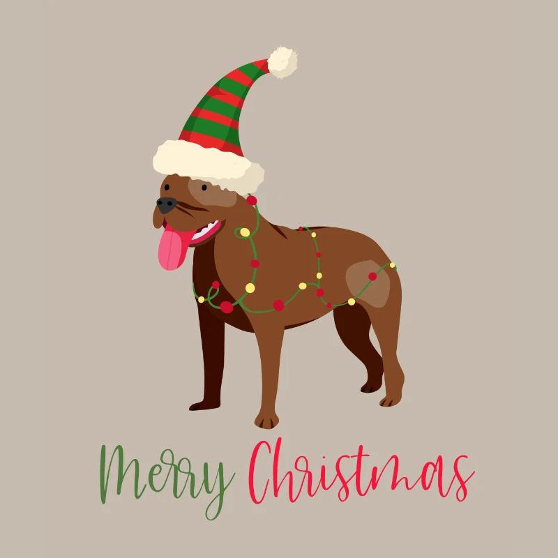Bouledogue américain, Bully, Noël, Noël