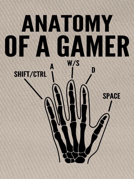 Anatomie eines Gamers