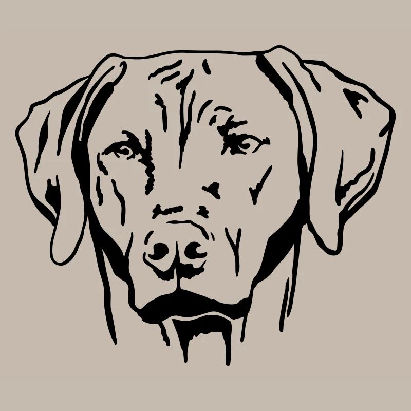 Rhodesian Ridgeback