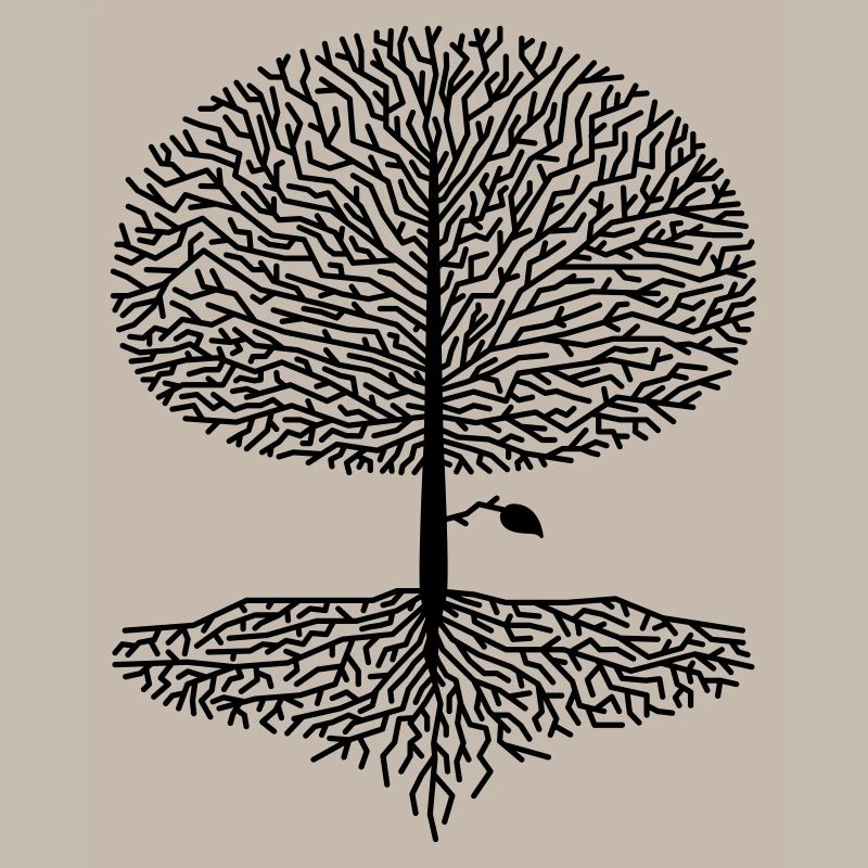 Laubbaum Krone Wald Eiche Buche Natur Linde Äste