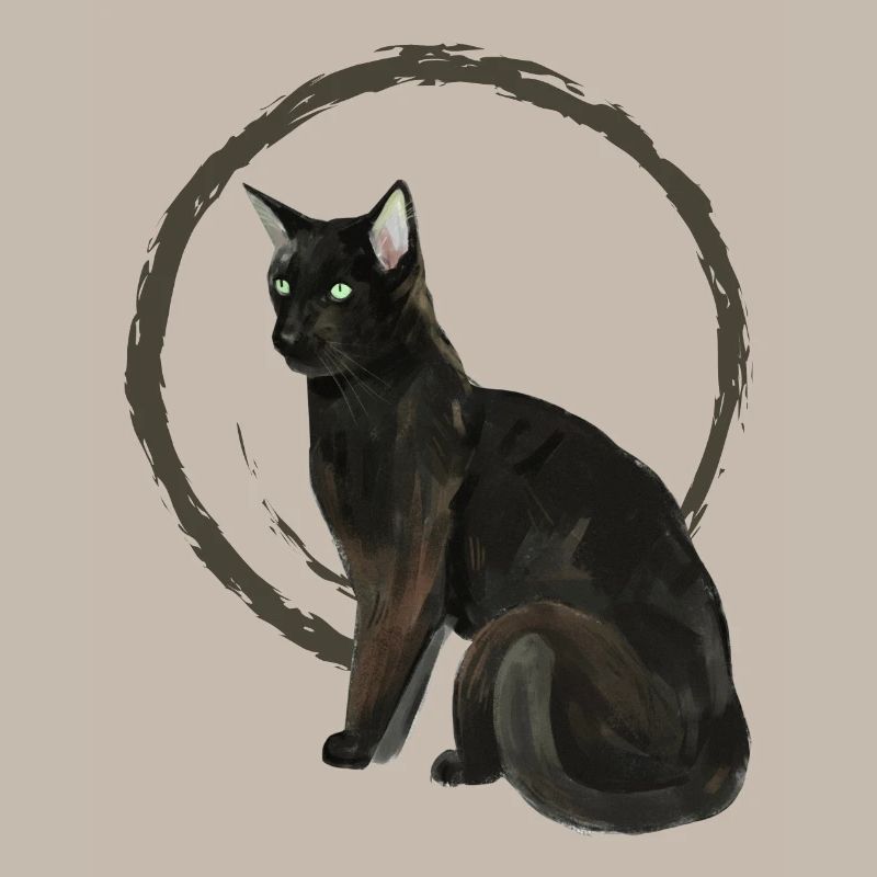 Schwarze Katze Nelson 2