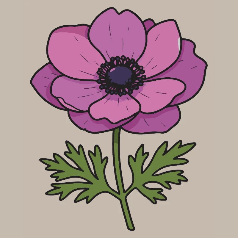 fleur d’anémone