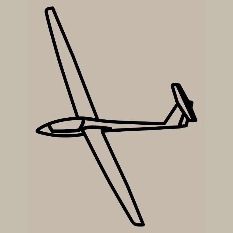 Segelflugzeug LS4 Geschenk
