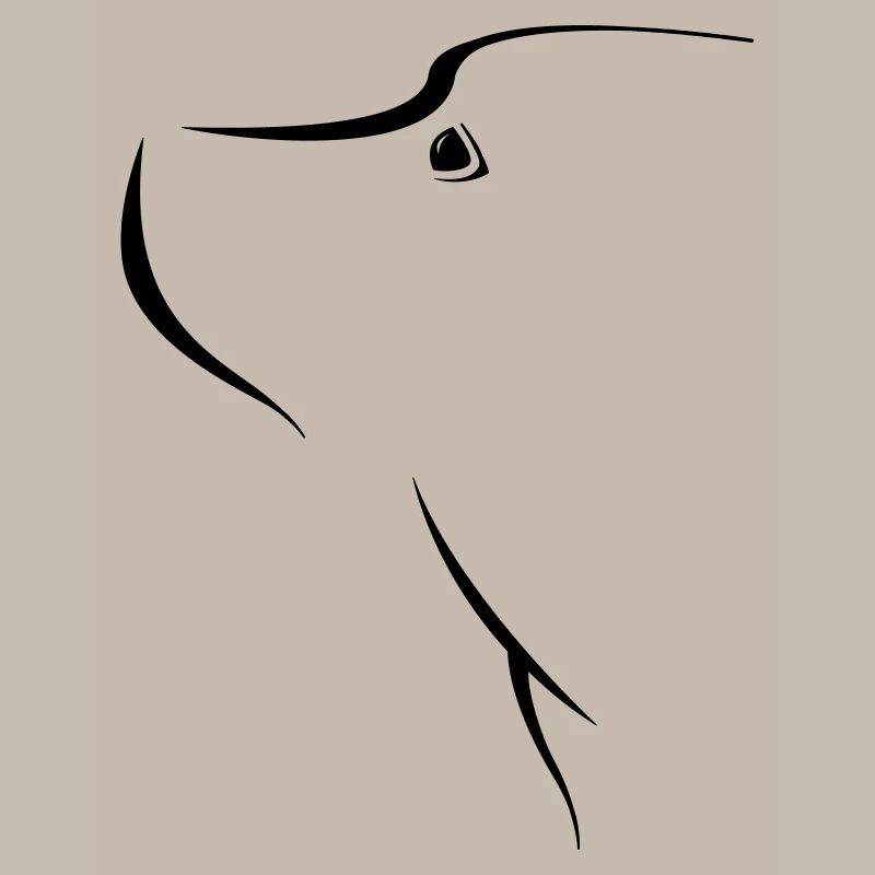 bone
