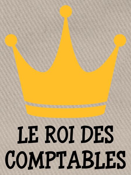 Accountant / Accounting / Comptable / Comptabilité