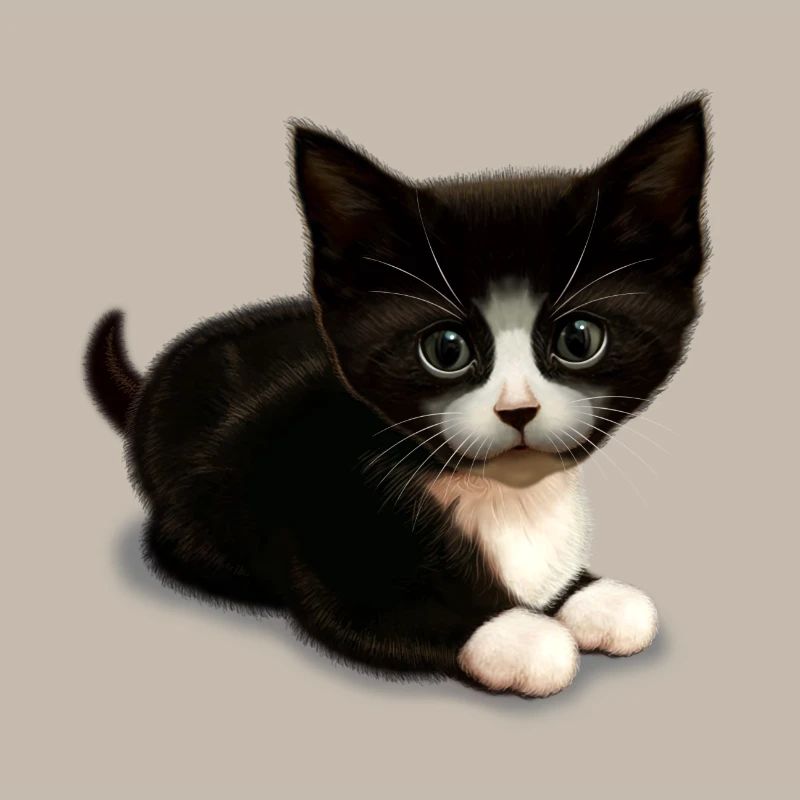MIGNON CHAT (Blanc)