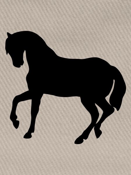 Doux poney