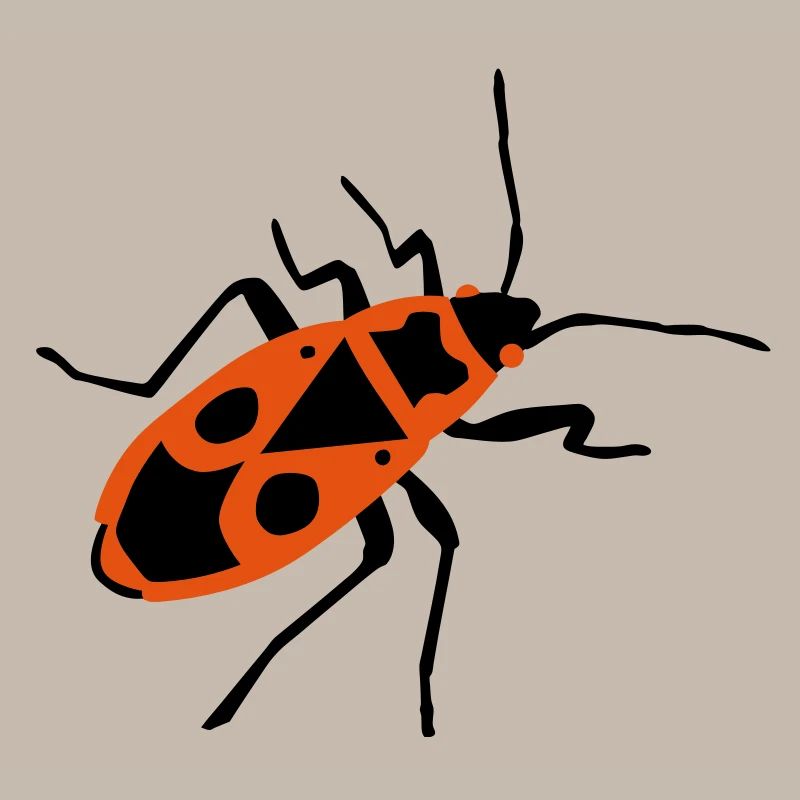 Fire beetle - insect - Firebug