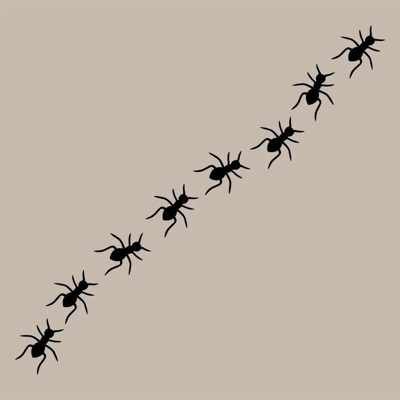 Ants
