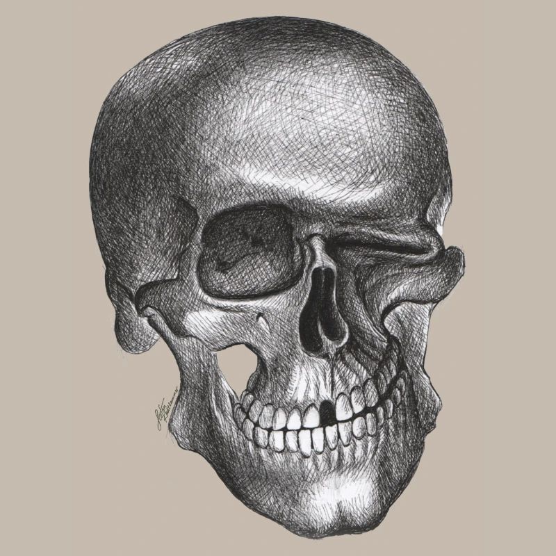 Winking Skull - Skull