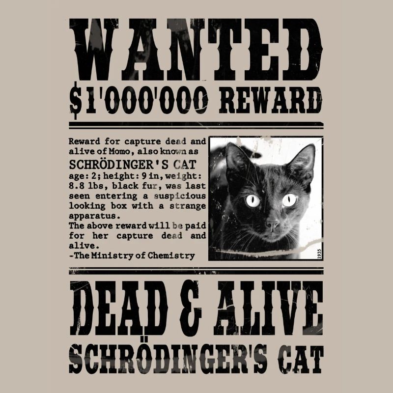 le chat de schrödinger noir