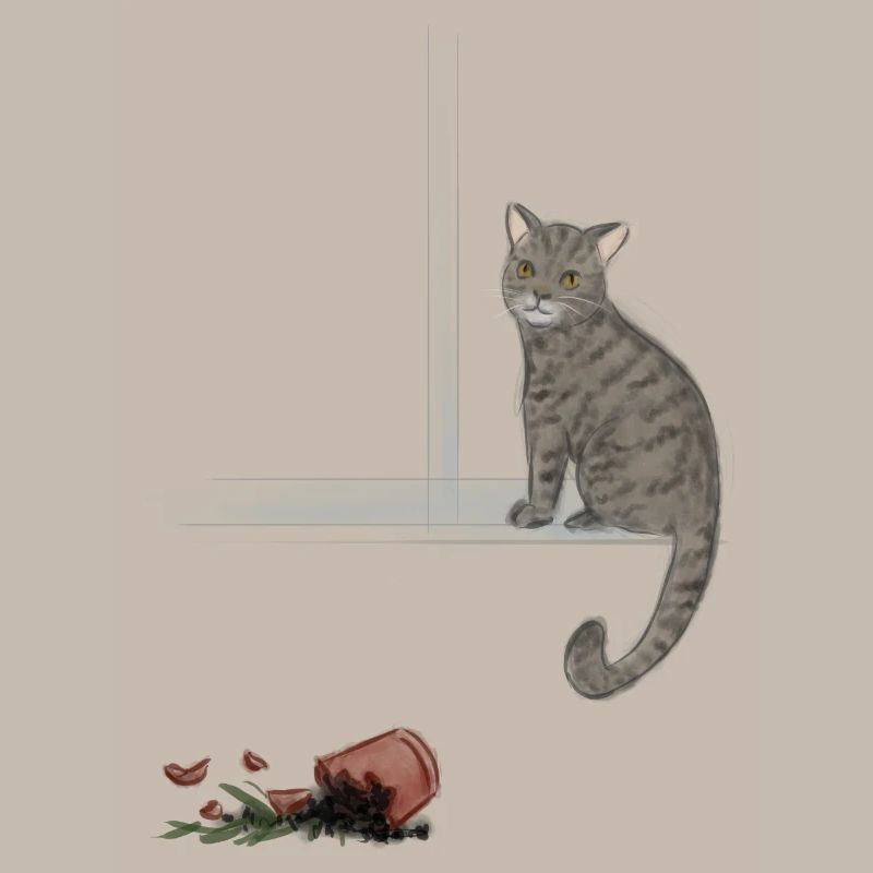 Moonlit tabby and fallen rose
