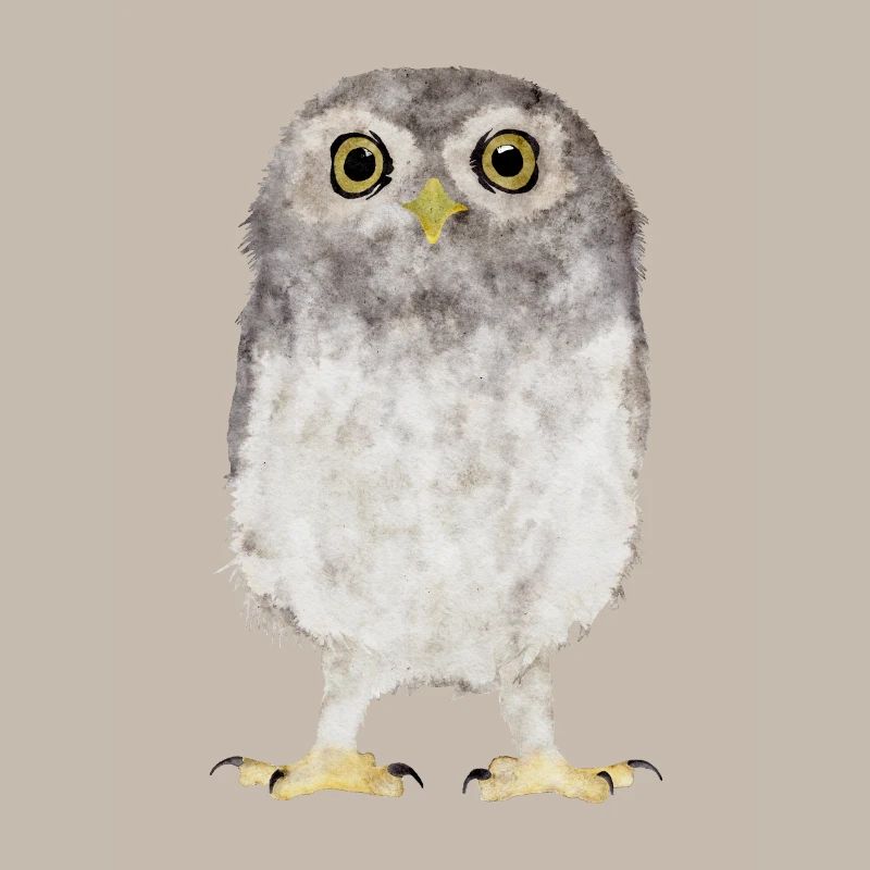 Eule