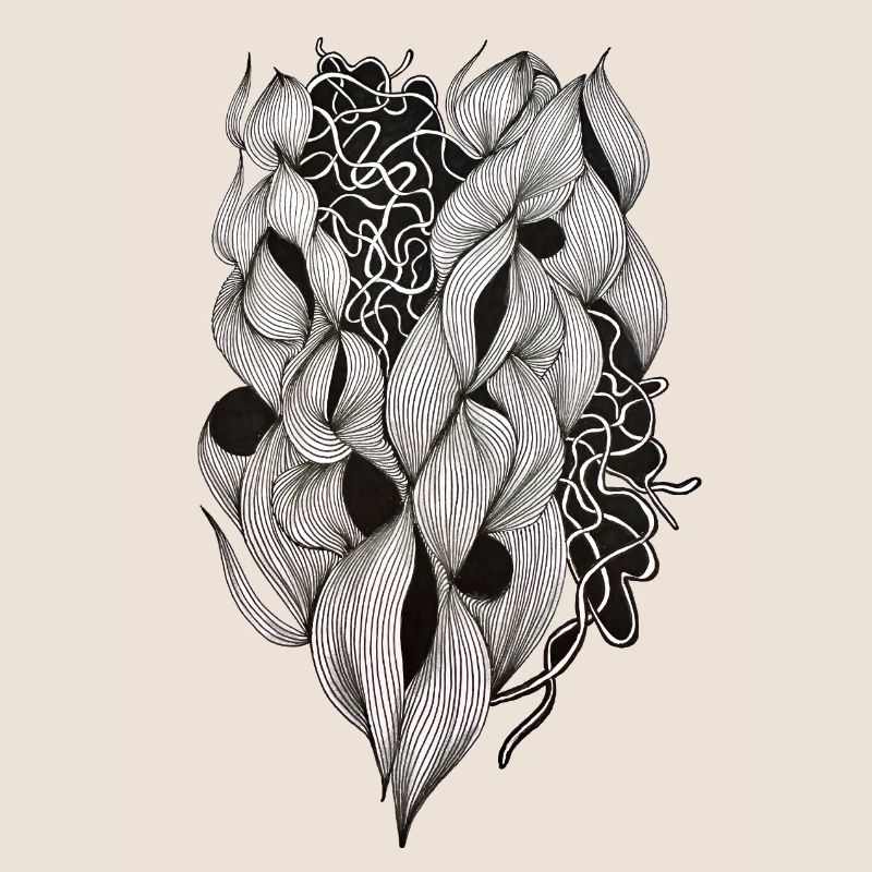 Plexus cardiaque entrelacé