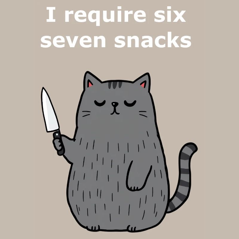 6-7 Internet Meme 6 7 Snack Cat