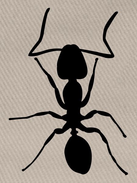 ant