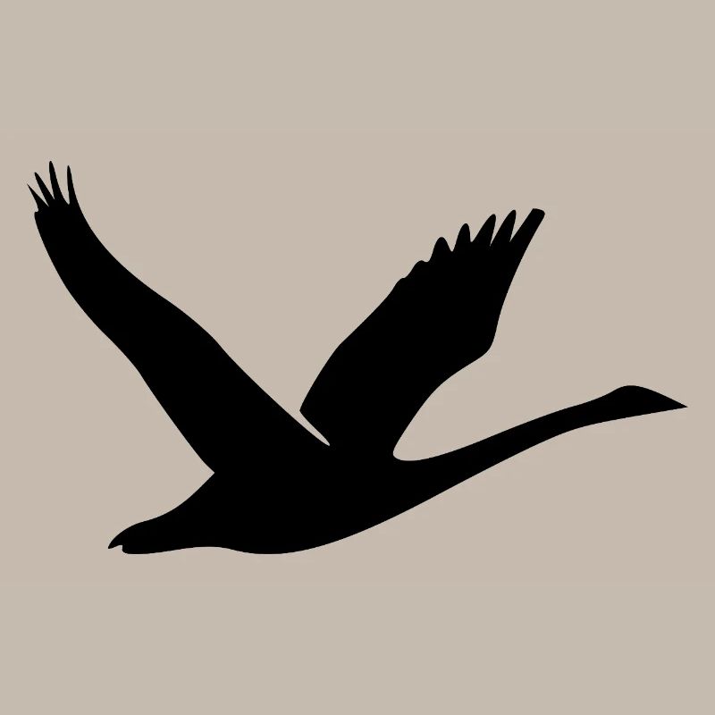 Schöne Schwan Silhouette