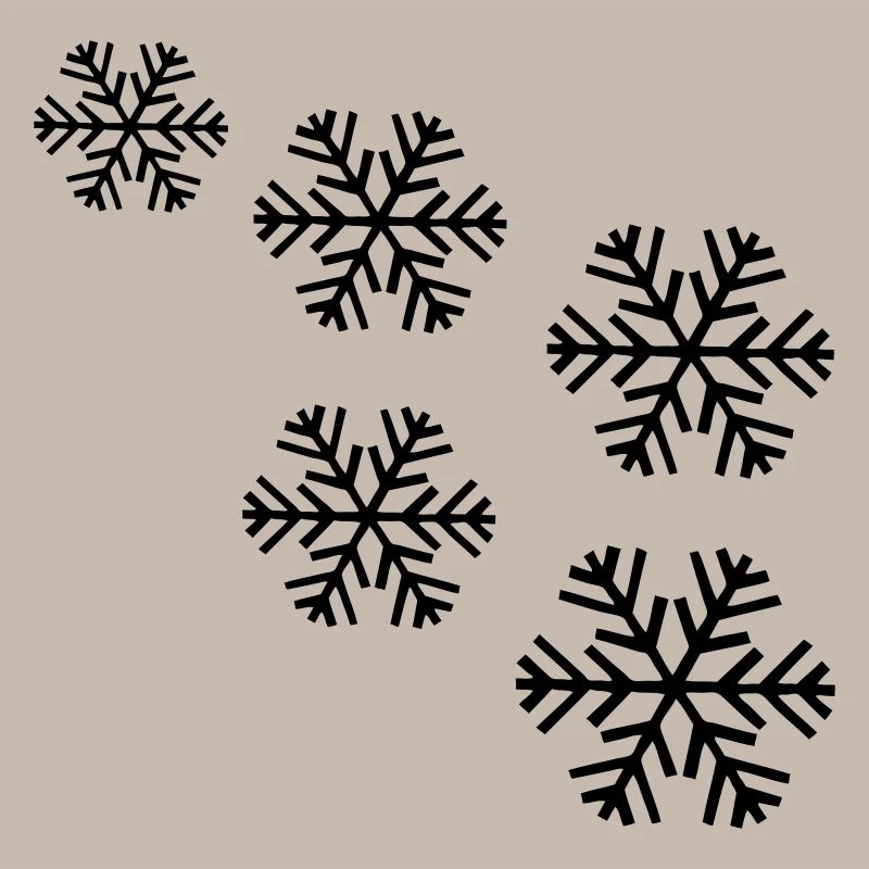 neige flocon de neige