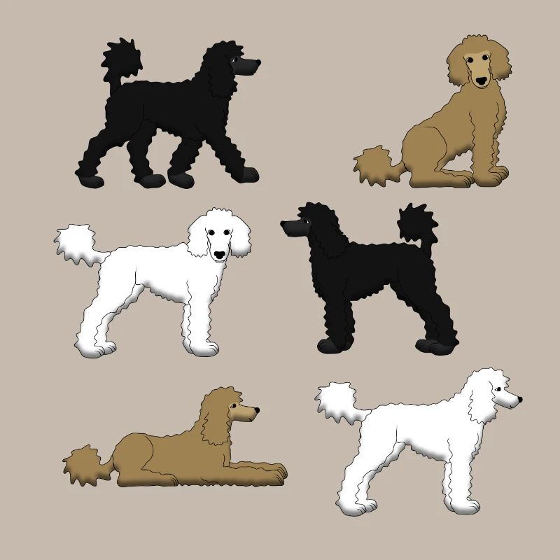 Sélection de caniche