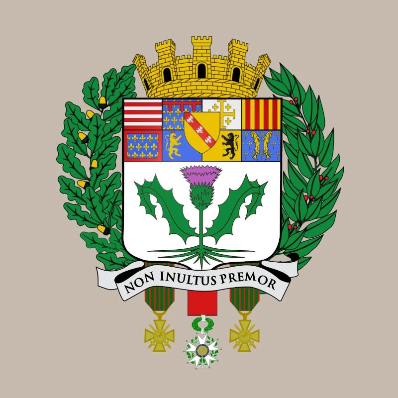 Blason Nancy