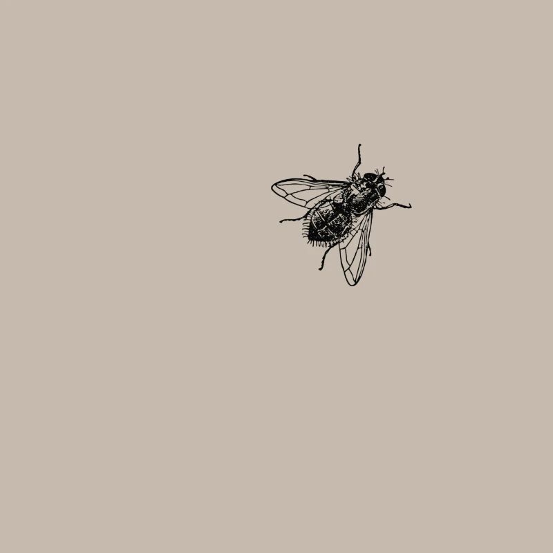 mouche