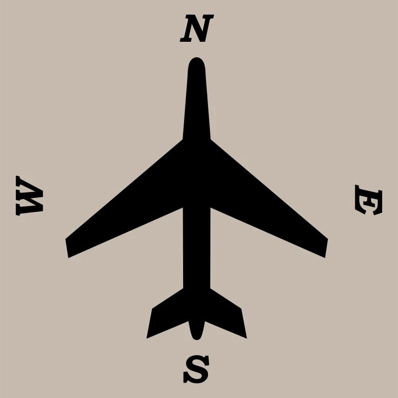 boussole _aviation_b1