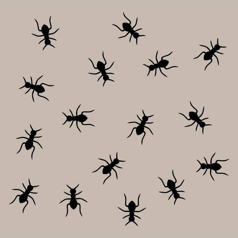Ants Design