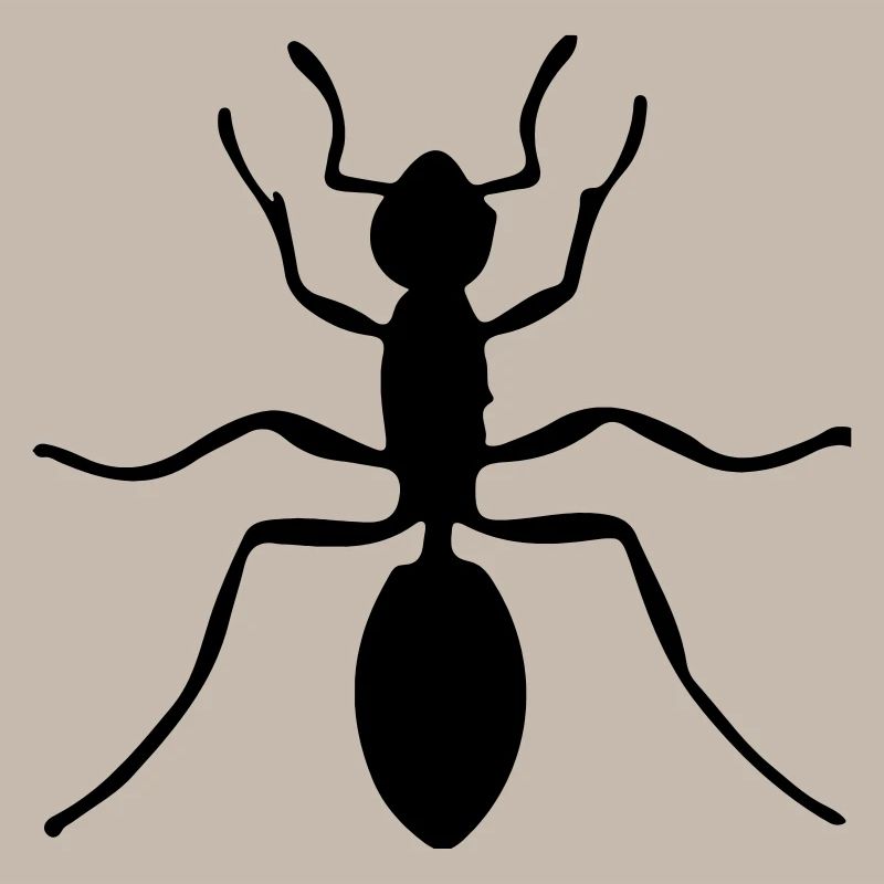 ant