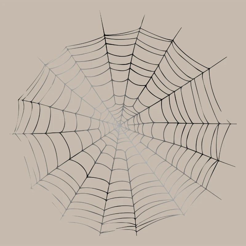 Smiley Spiderweb