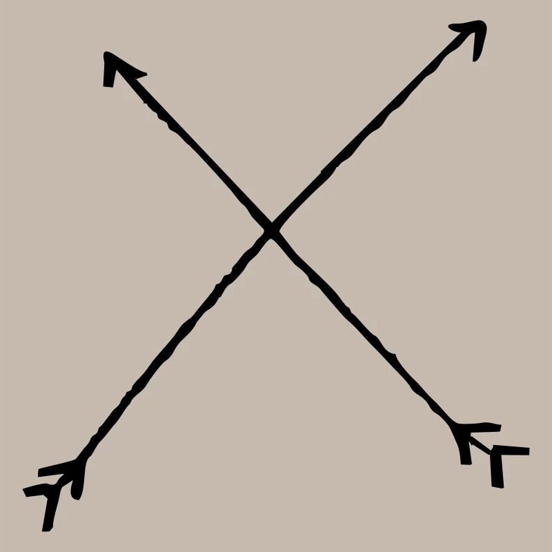 crossed arrows :: gekreuzte Pfeile