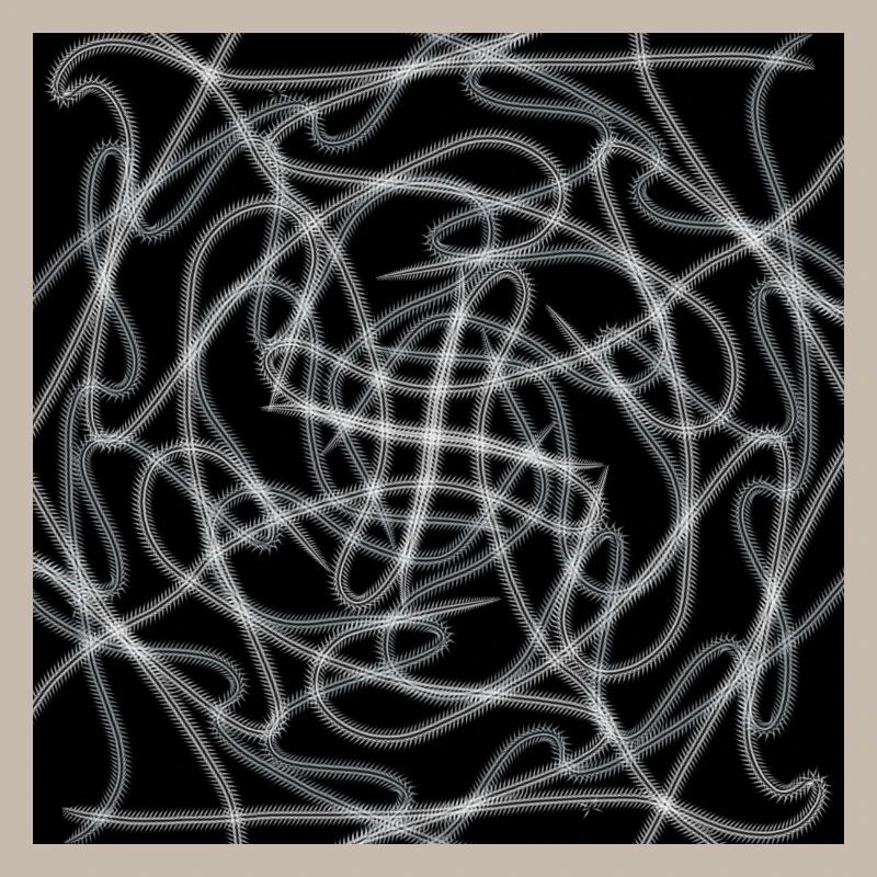 Black and White Abstract Design