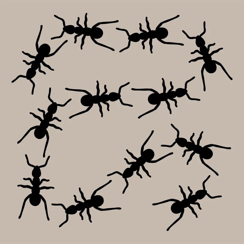 Fourmis
