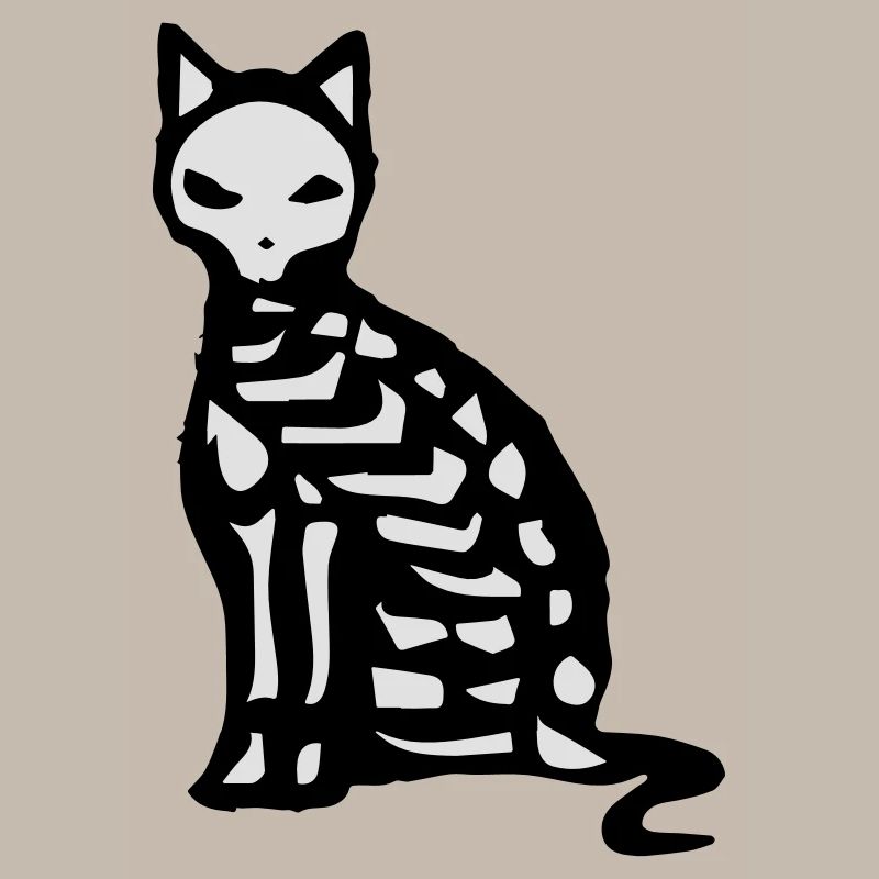 Le squelette et les os d'un chat