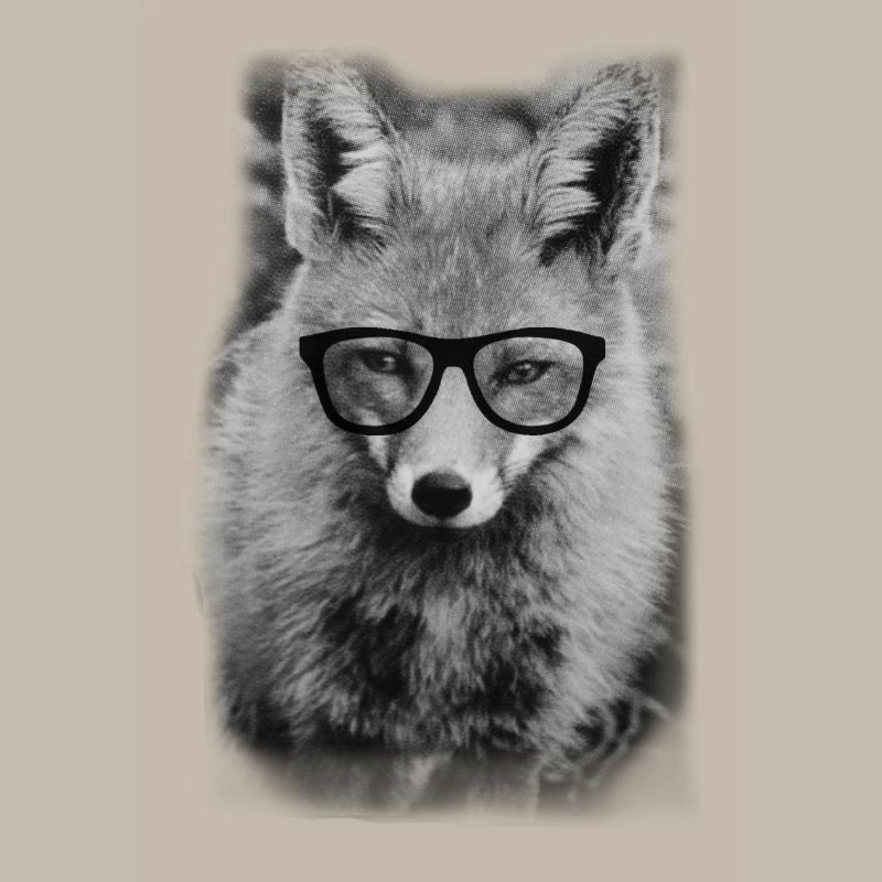 Nerd Fox