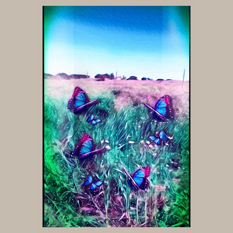 Blaue Schmetterlinge