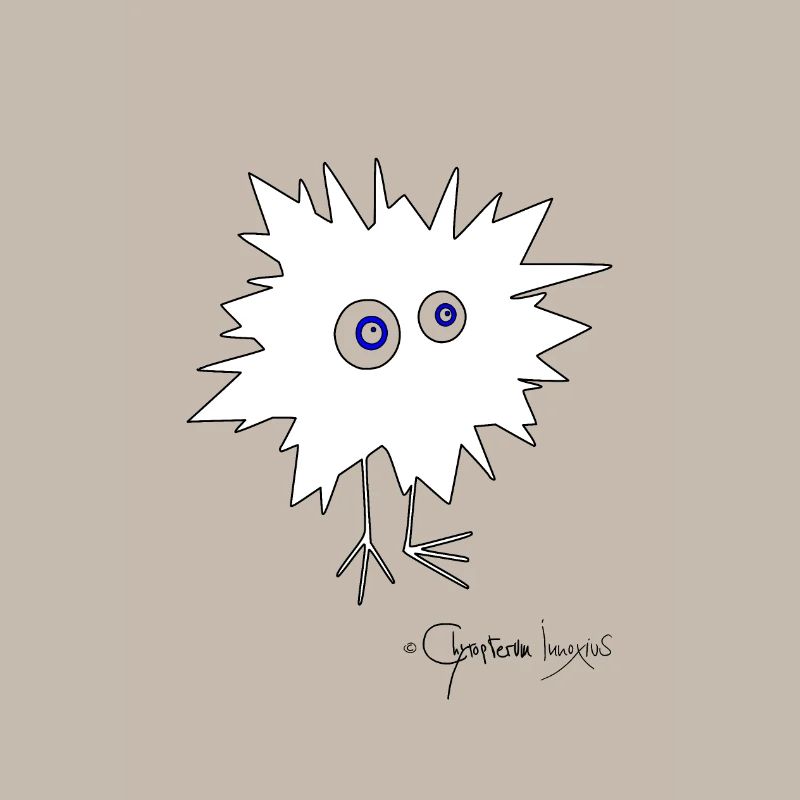 Woolly Beastie flashed © Chyropterum Innoxius