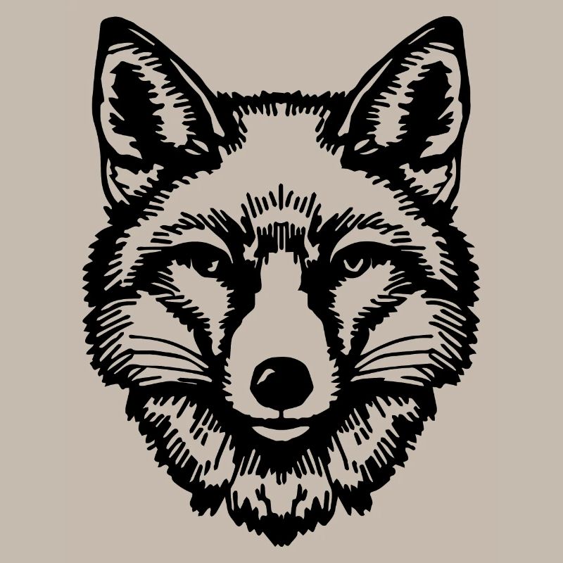 Renards Renards