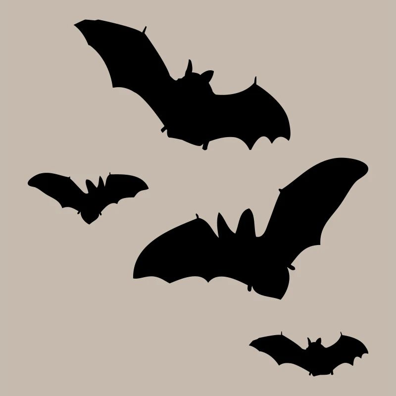 fledermaus1